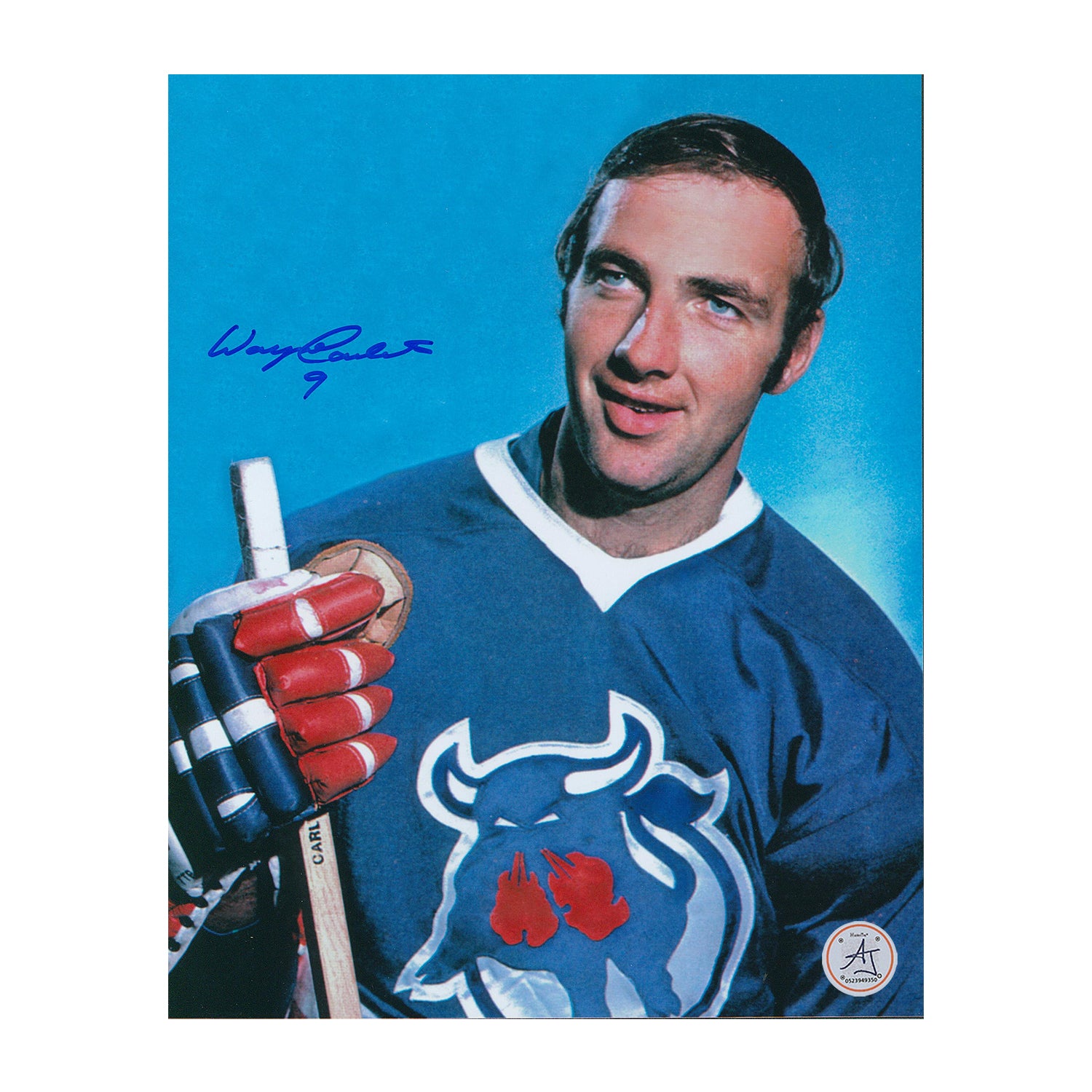 AJ Sports | Wayne Carleton Autographed Toronto Toros 8x10 Photo