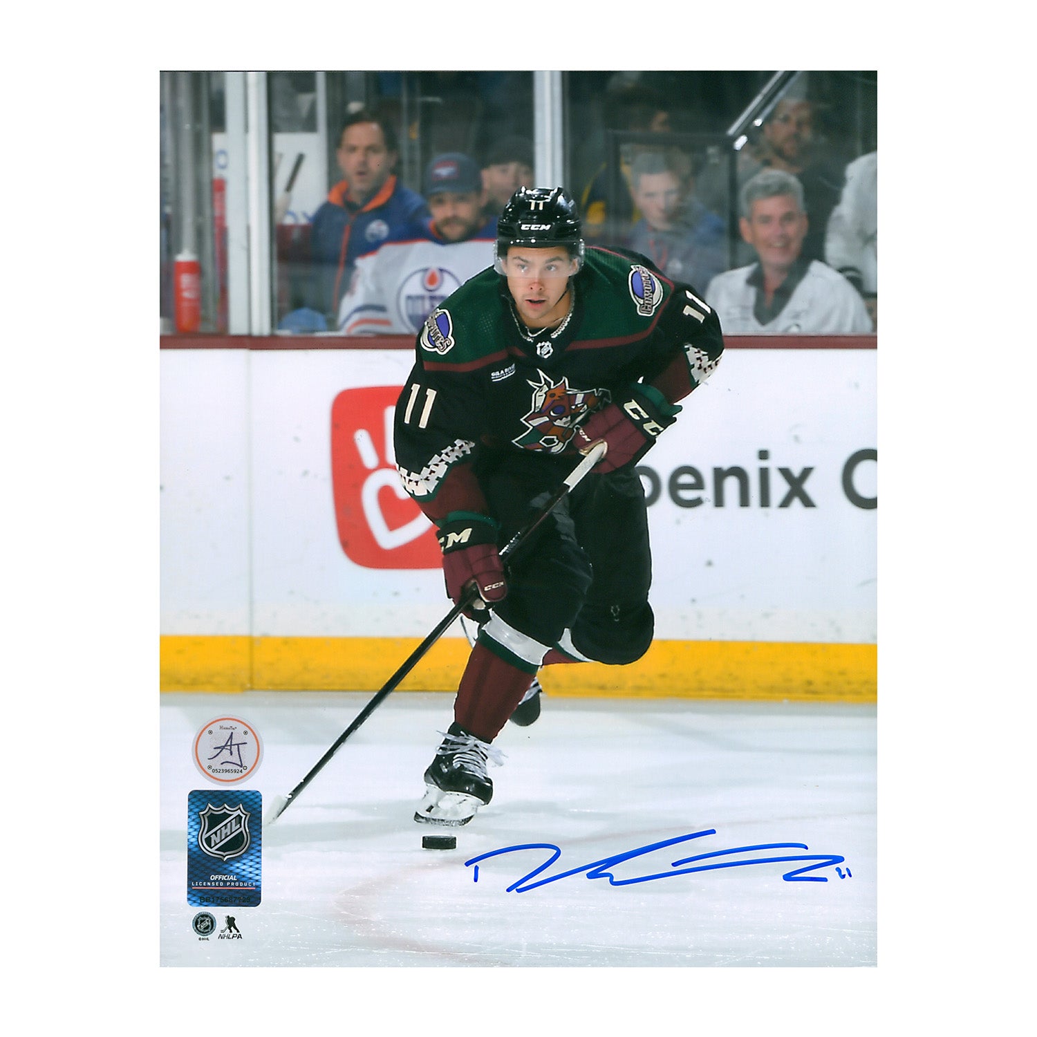 AJ Sports | Dylan Guenther Autographed Arizona Coyotes Attack Zone 8x10 Photo