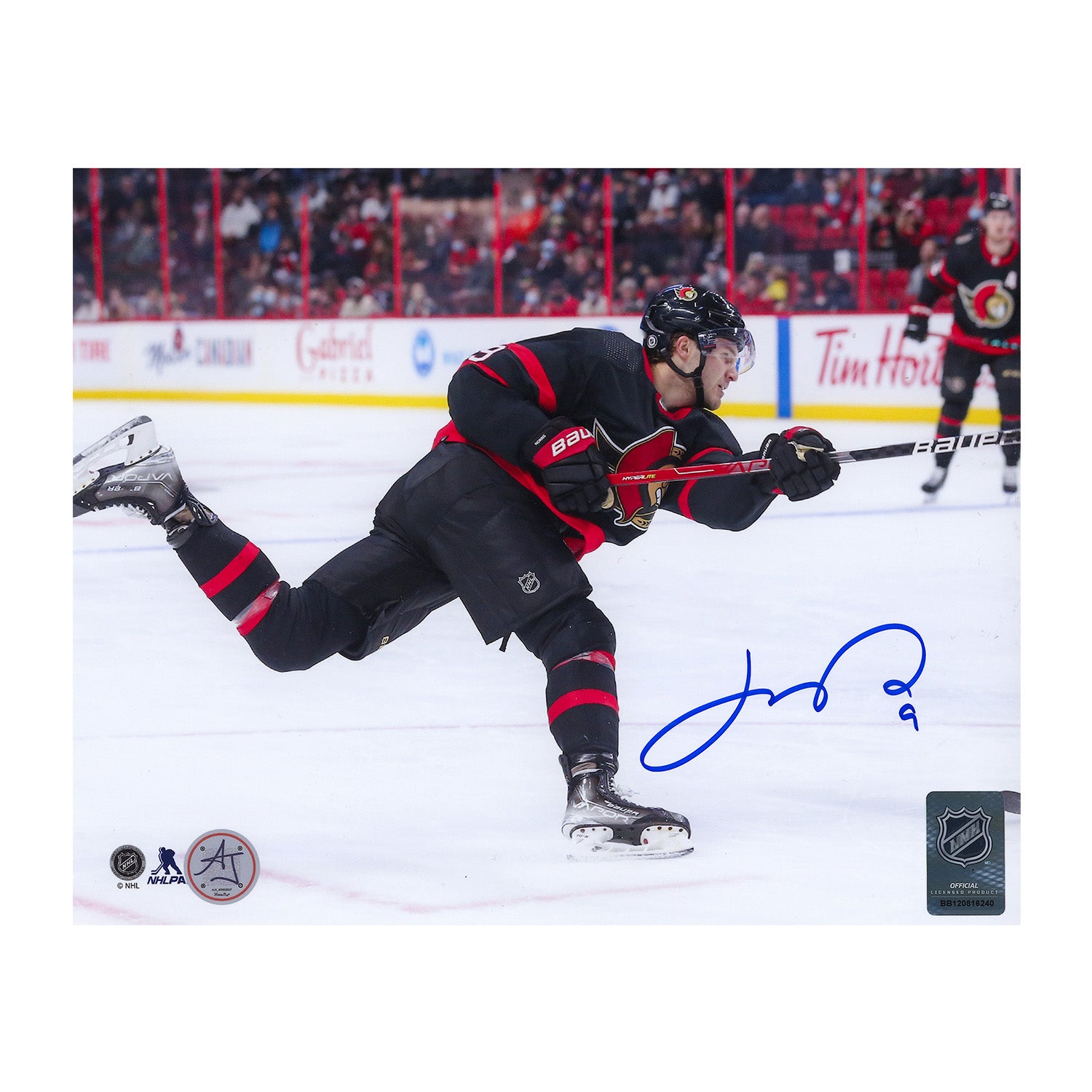 AJ Sports | Josh Norris Signed Ottawa Senators 8x10 Photo