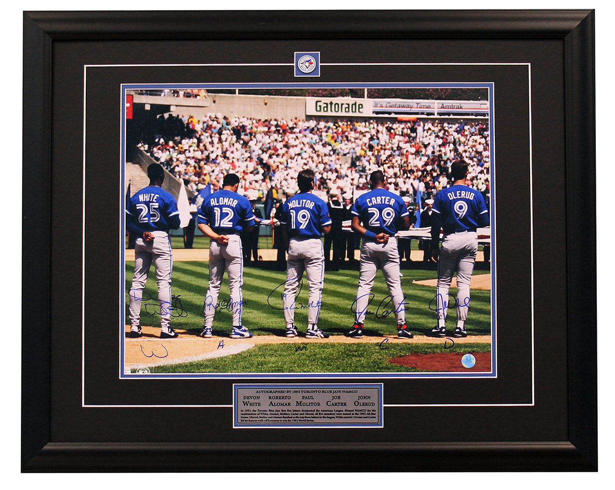 1993 Blue Jays Signed WAMCO White Alomar Molitor Carter Olerud 26x32 Frame | AJ Sports.